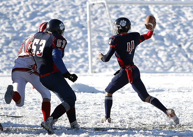 心理因素 心理因素