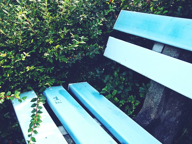 的凶猛进攻 的凶猛进攻