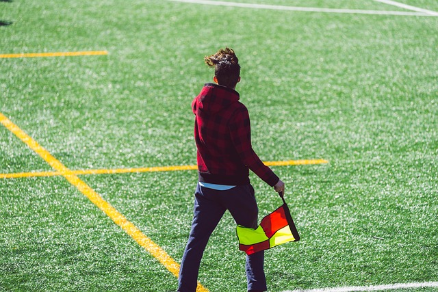 国际体育竞 国际体育竞