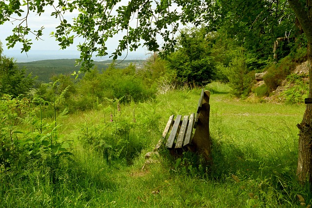 综上所述 综上所述