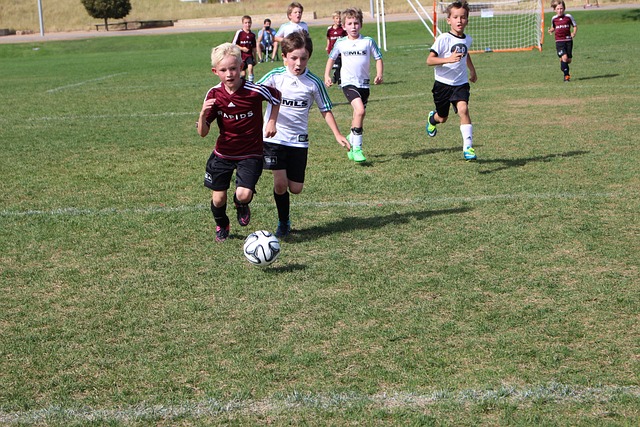 叹选手在冰 叹选手在冰